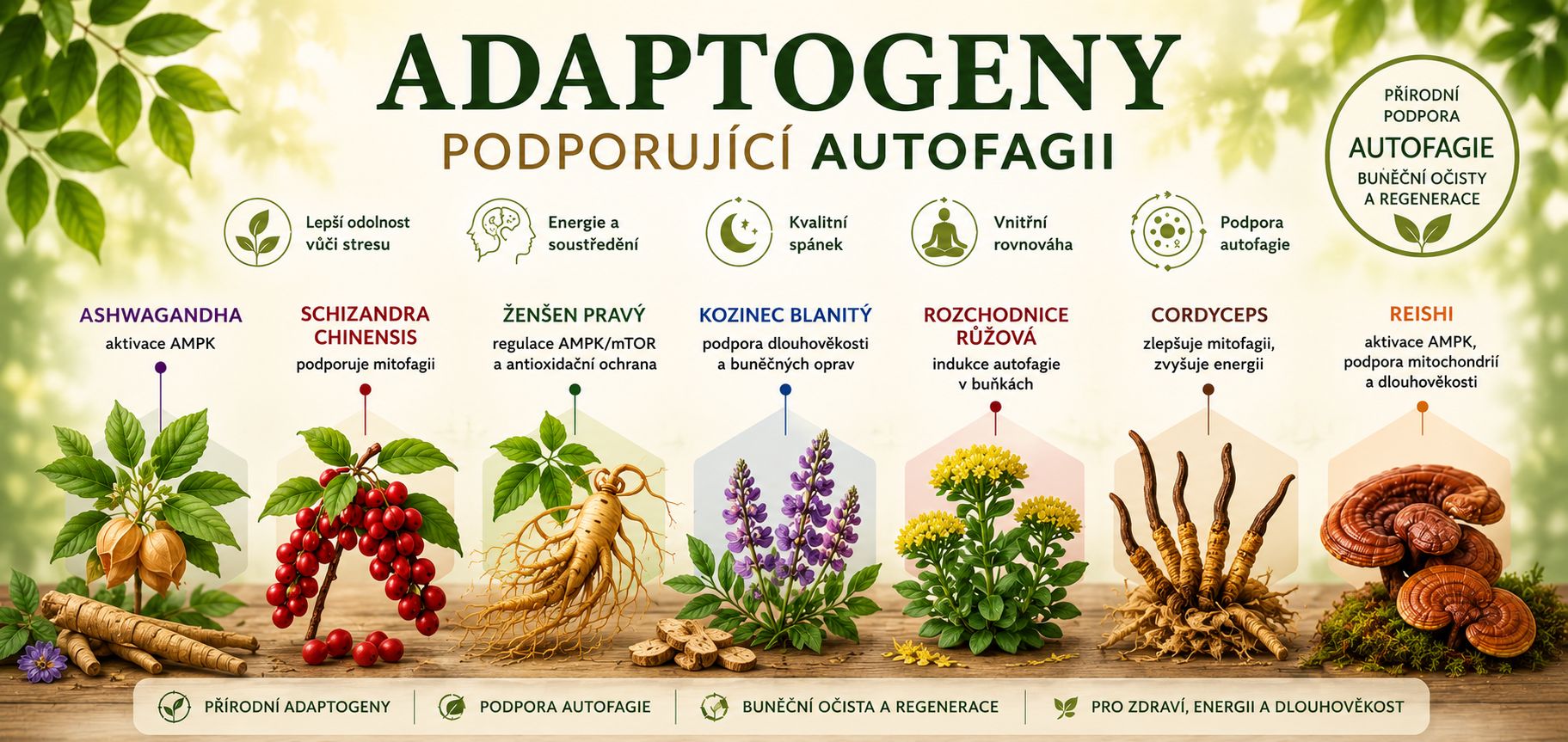 adaptogeny