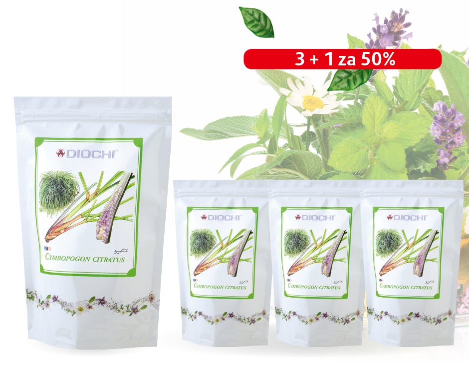 AKCE: Cymbopogon citratus 3+1 za 50% 