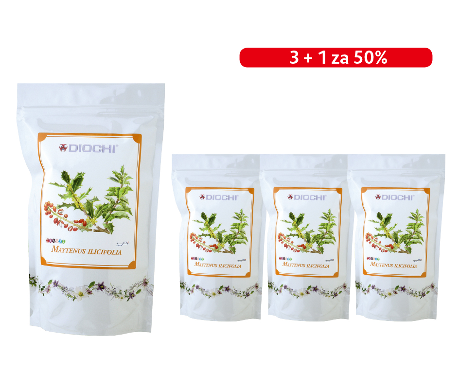 AKCE: Maytenus čaj 3+1 za 50%