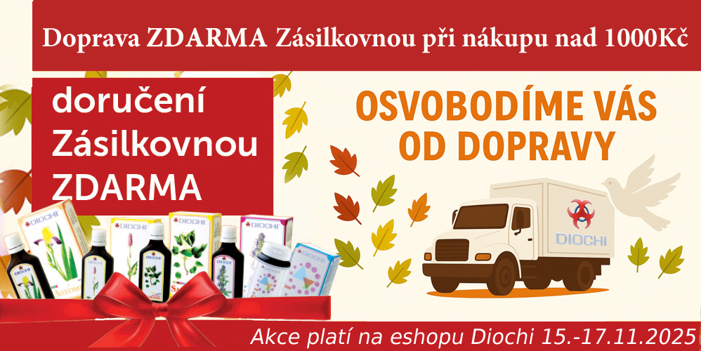 přednášky listopad