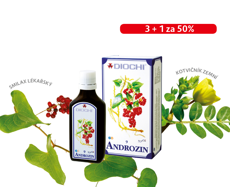 andorzin s bylinami