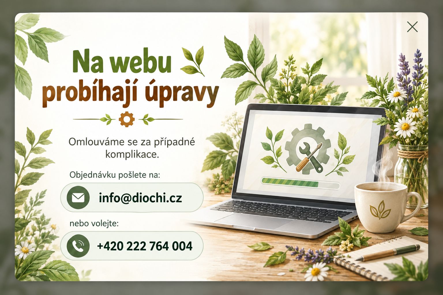 upravy na webu
