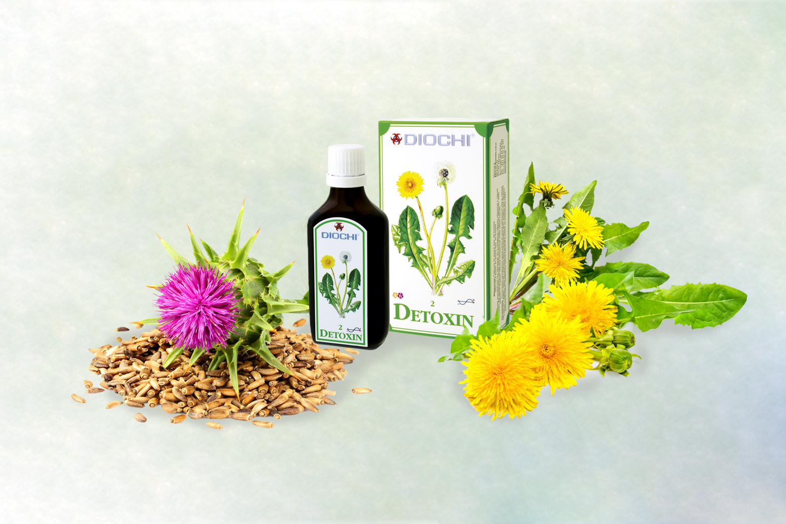detoxin s bylinami