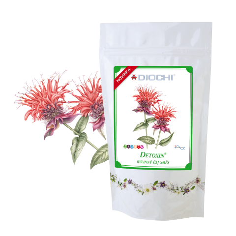 web DETOXIN napoj