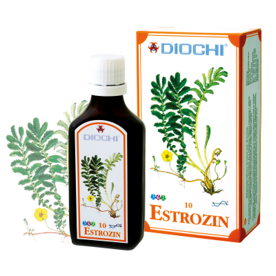 web estrozin
