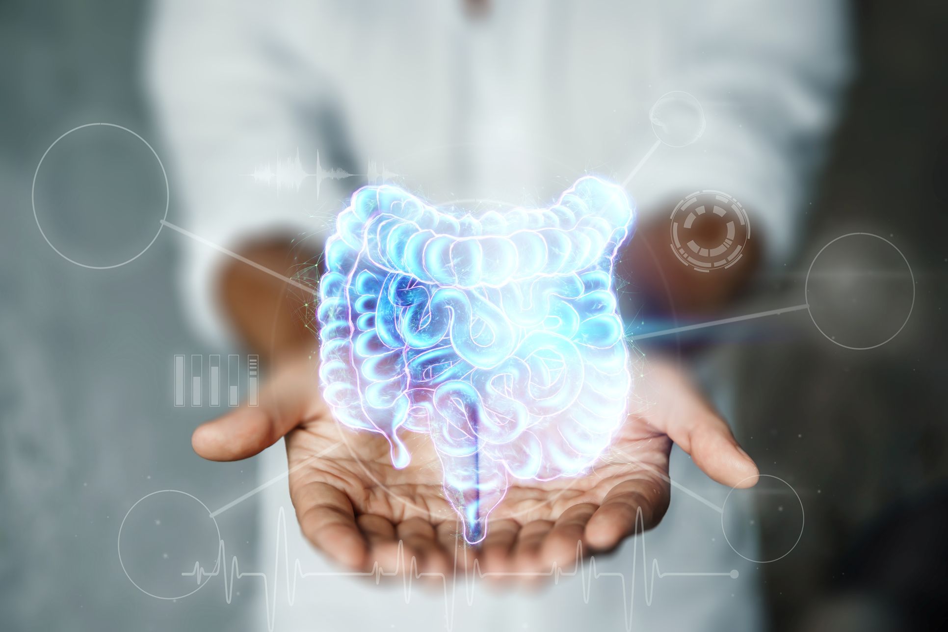 web iStock 13131521581